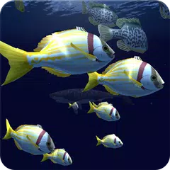 Fish Schooling VR APK download
