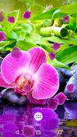 Orchid Live Wallpaper تصوير الشاشة 1