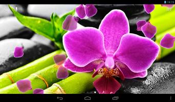 Orchid Live Wallpaper स्क्रीनशॉट 3