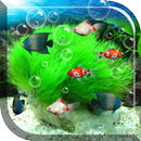 Aquarium Free wallpaper hidup APK