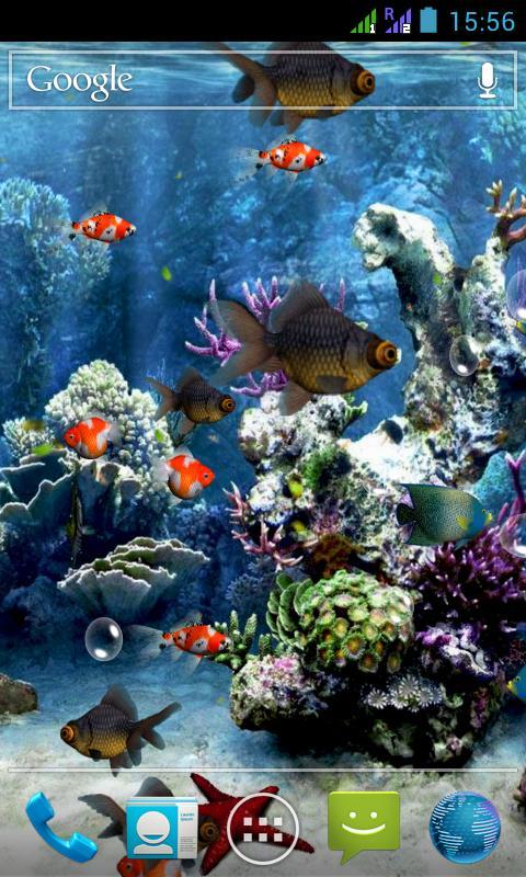 Terkeren 11 Wallpaper  Bergerak  Aquarium  3d  Joen Wallpaper 