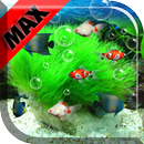 수족관 Max 라이브 배경 화면 APK