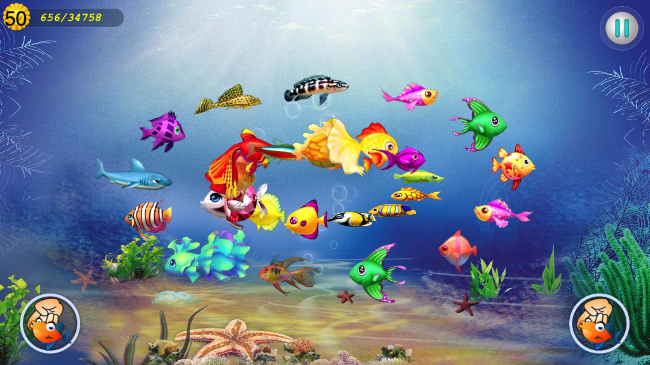 Аквариумные рыбки игра. Игры на андроид аквариум рыбы. Аквариумные рыбки баннер. Игра про рыбу в аквариуме 3д.