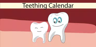 Teething Calendar