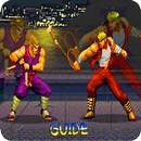 Hints Double Dragon APK