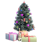 Christmas Tree - Douglas Fir icon