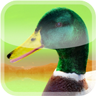 Ducks 3D Live Wallpaper FREE icône