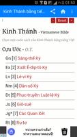 Kinh Thánh Vietnam Bible - KJV Affiche