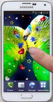 Birds Love live wallpaper 스크린샷 3