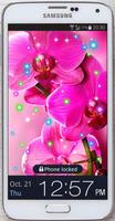 Orchide Spings live wallpaper 截图 2