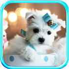 Puppy Glamour live wallpaper icon