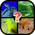 Tricky Trivia: 4 Pics 1 Word