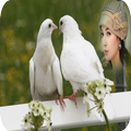 Dove Photo Frames