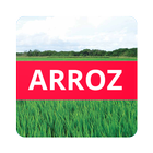 Doenças do Arroz 图标