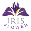 IRIS Flower Hotel