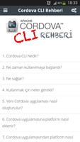 CLI Rehberi ポスター