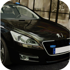 Car Driving Simulator Peugeot icône