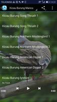 برنامه‌نما Kicau Burung Luar Negeri عکس از صفحه