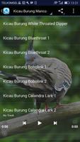 Kicau Burung Luar Negeri ภาพหน้าจอ 1