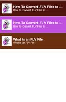 How to converter Flv to avi Cartaz