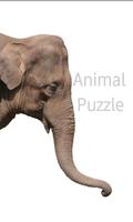 Animal Puzzle poster