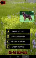 Which is The Dog Breed screenshot 1