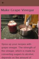 برنامه‌نما How To Make Vinegar عکس از صفحه