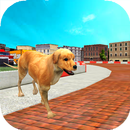 Dog Racing : Labrador APK