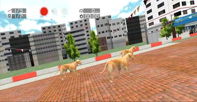 Dog Racing : Labrador screenshot 3
