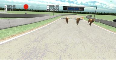 Dog Racing : Labrador screenshot 2