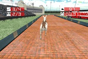 Animal Racing : Donkey постер