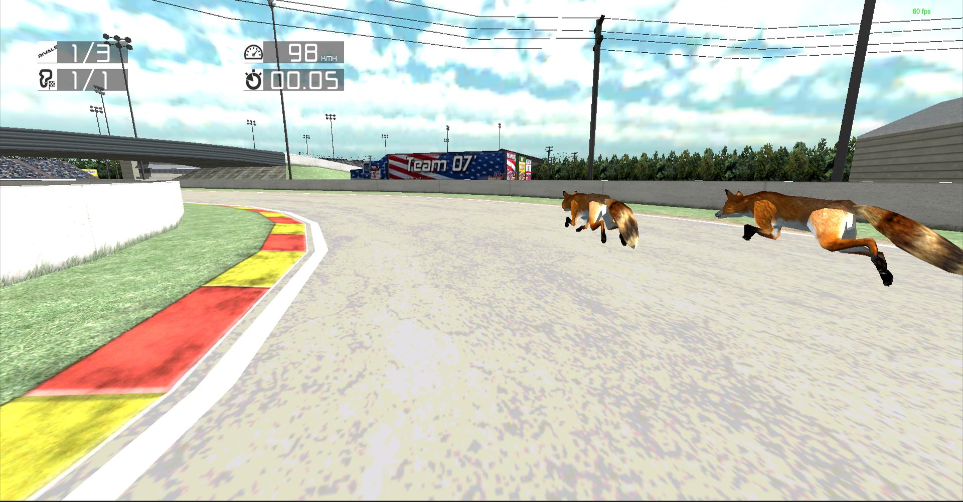 Animal race. Гонка лисой. Animal Racing. Animal Racing game. Racing animals game mekey.
