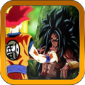 dragon ball z tenkaichi tag team dragon fighter