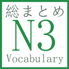 N3 Vocabulary icône