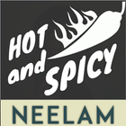 Icona Neelam Virwani Sexy Hot Spicy Collection