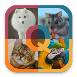 Animal Quiz - Guess animal game to learn animals أيقونة