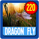 DragonFly Wallpaper HD APK