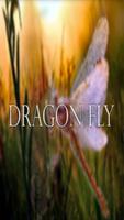 DragonFly Wallpaper HD Affiche