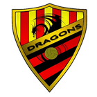 BCN DRAGONS F.C أيقونة