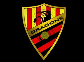 BCN DRAGONS F.C স্ক্রিনশট 1