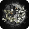 Dragon Wallpaper
