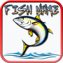 FISH NAMES aplikacja