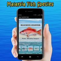 Malaysia Fish Species screenshot 2