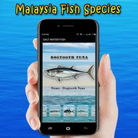 برنامه‌نما Malaysia Fish Species عکس از صفحه