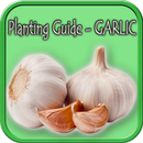 Planting Guide - GARLIC aplikacja