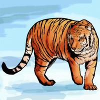 How To Draw Tigers تصوير الشاشة 2