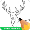 How To Draw Animals