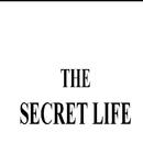 The Secret Life APK