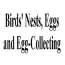 Birds'Nests and Egg Collecting APK