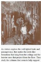3 Schermata Florida Caverns State Park